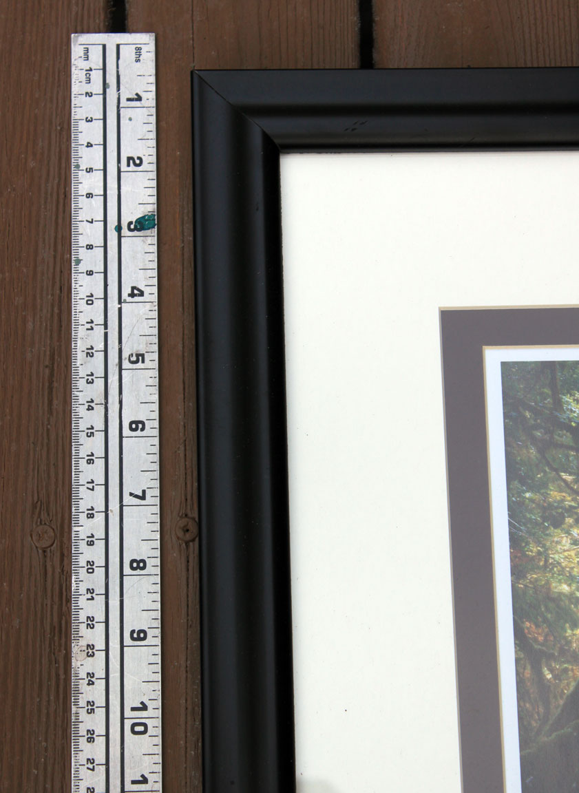 Ordering Prints and Services – Nancy Cherry Eifert