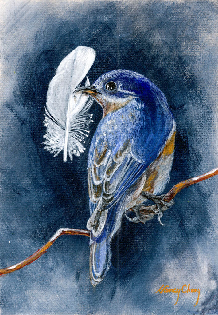 Western Bluebird with Feather