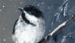 Black-capped Chickadee on snowy branch.